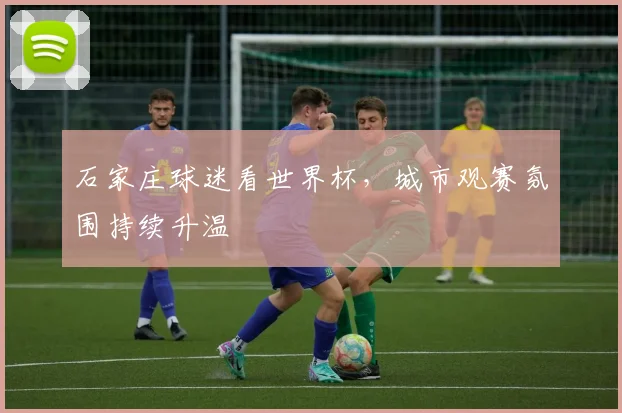 石家庄球迷看世界杯,城市观赛氛围持续升温